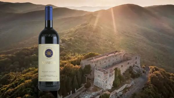 元祖スーパータスカン！ サッシカイアの魅力に迫るテイスティング