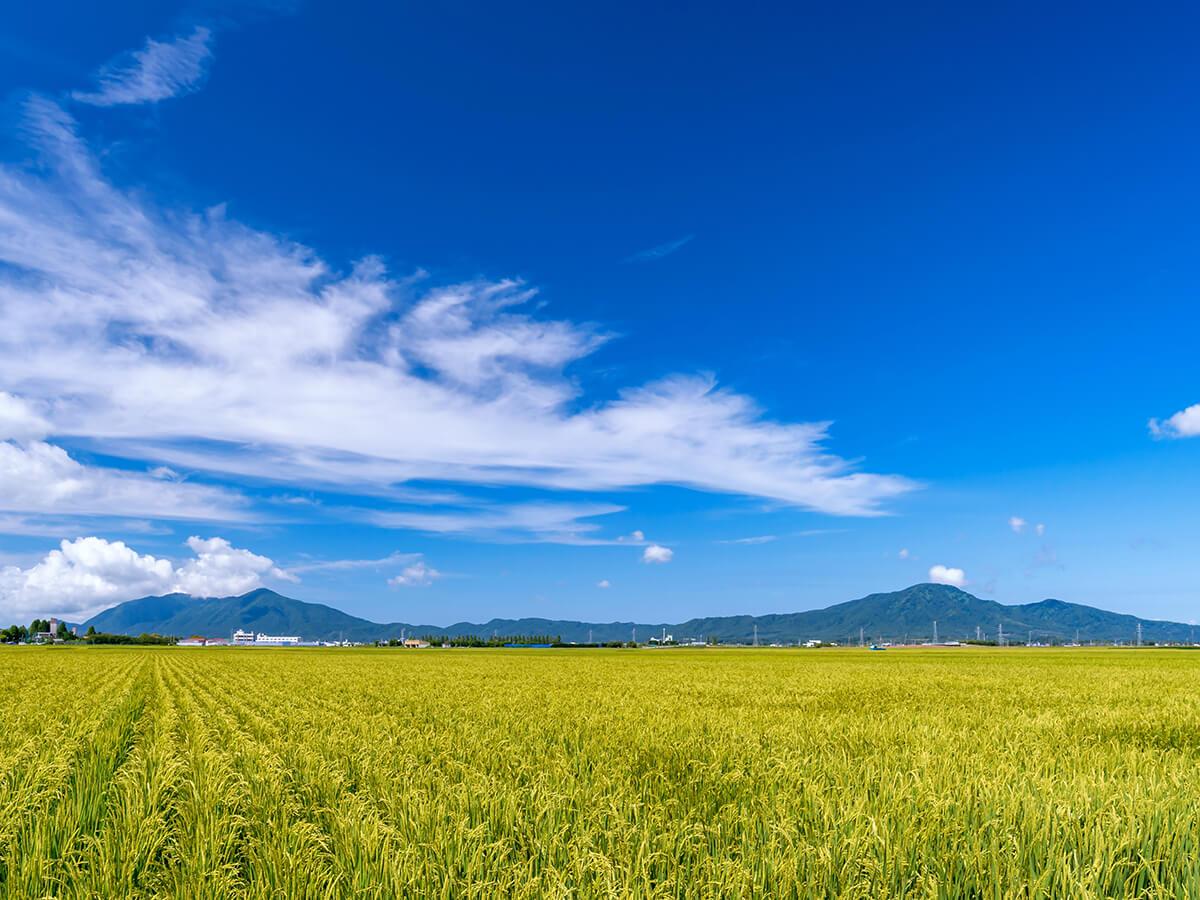 新潟　風景