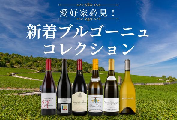 新着ブルゴーニュコレクション