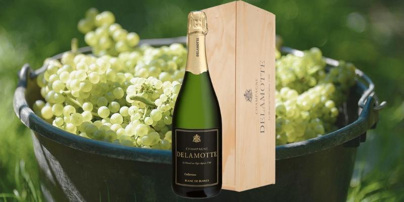 ドゥラモット ブリュット・コレクション・ブラン・ド・ブラン [ボックス付]