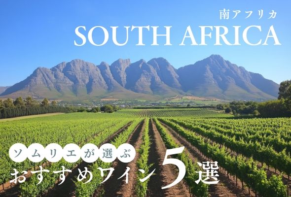 【2025年】おすすめ南アフリカワイン5選【ソムリエ厳選】