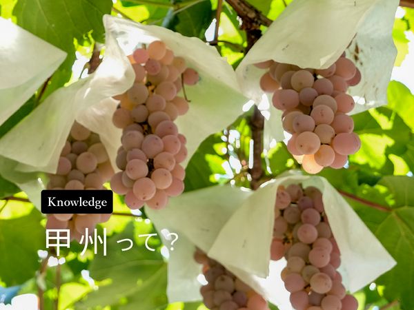 【ブドウ品種を知ろう】甲州とは？