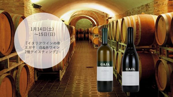 イタリアワインの帝王ガヤ　白&赤ワイン2種テイスティング