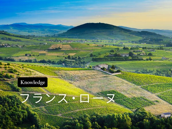 【ワイン産地を知ろう】ローヌワインの特徴