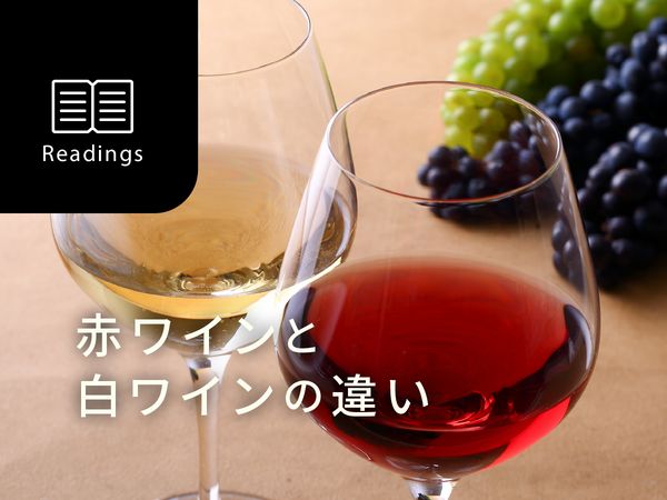 【ソムリエ監修】赤ワインと白ワインって何が違うの？