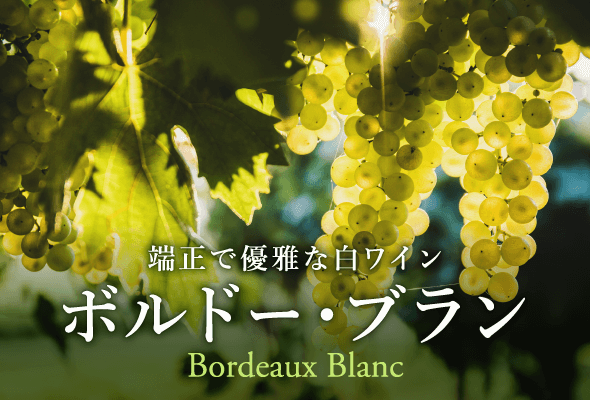 ボルドー・ブラン　端正で優雅な白ワイン