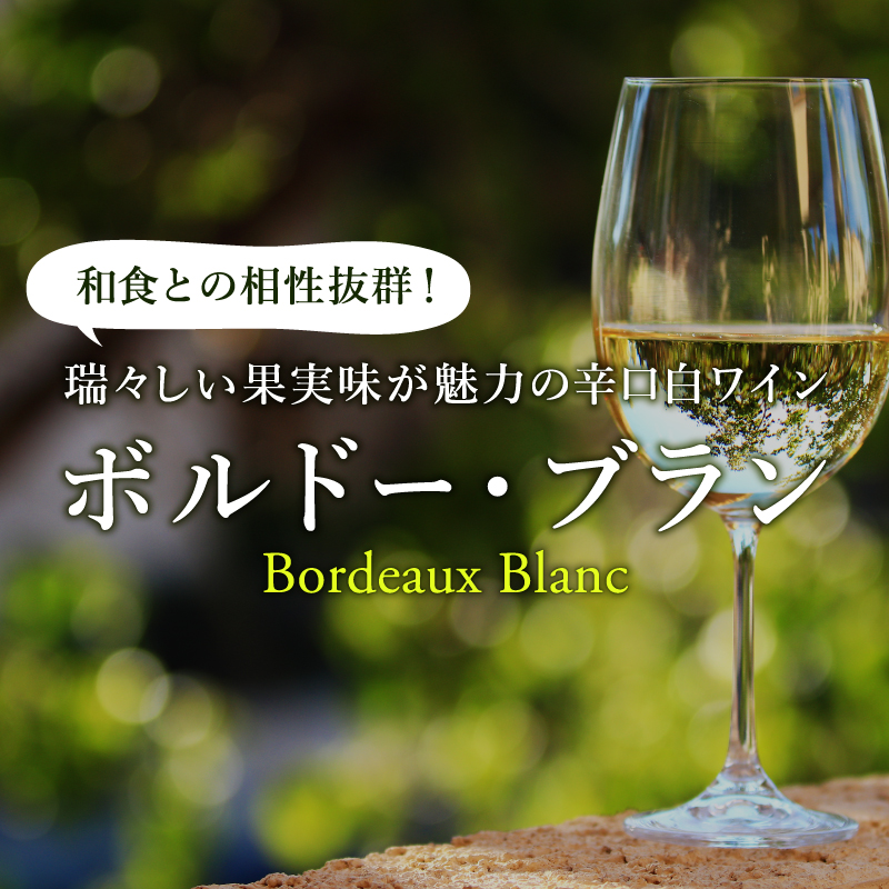 ボルドー・ブラン　端正で優雅な白ワイン