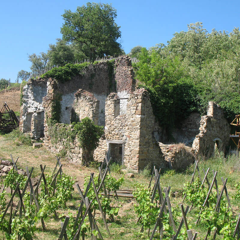 クロ・ド・ラ・ボネット / CLOS DE LA BONNETTE