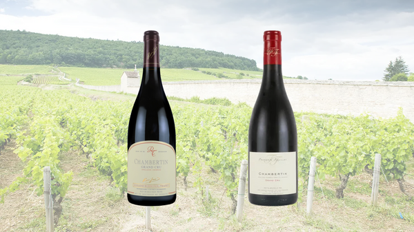 3月6日(金)～シャンベルタン　2022ヴィンテージ　2グラスセット