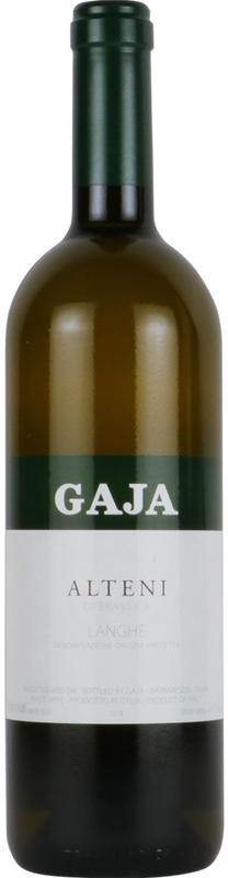 ガヤ GAJA | エノテカ - ワイン通販