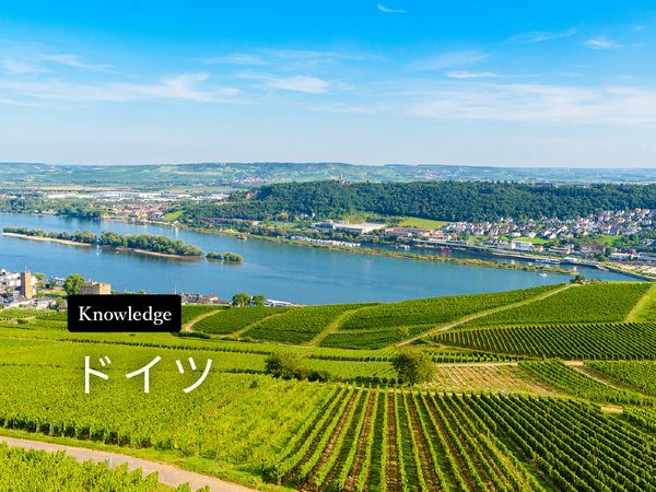 ワイン産地を知ろう！ドイツ