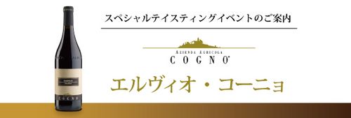 ブログメイン画像
